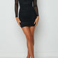 Ambra Long Sleeve Mesh Party Dress Black