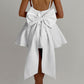 Aina Mini Dress - Ivory